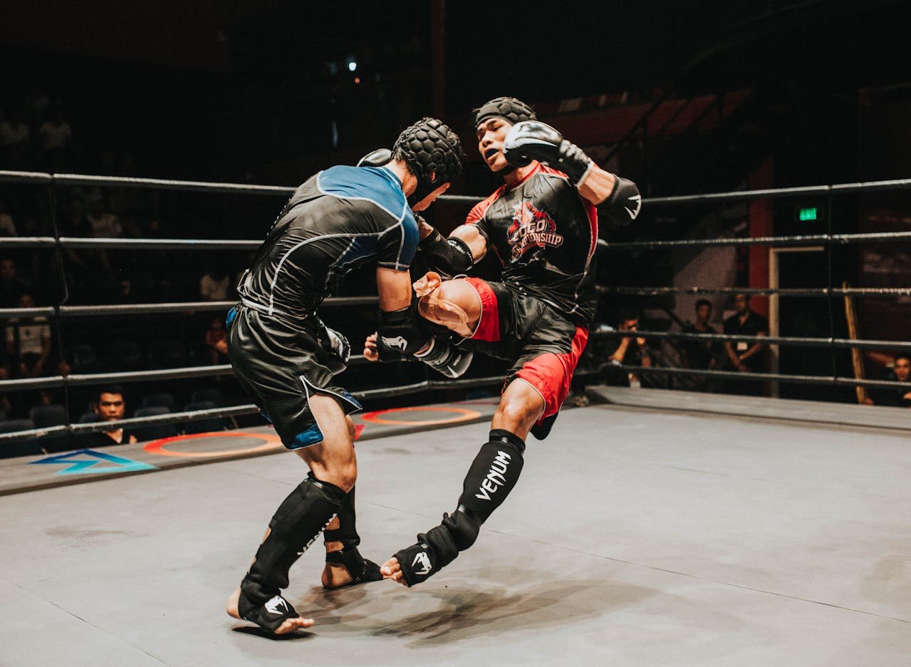 Tracking the Rise of Mixed Martial Arts and Its Global Popularity